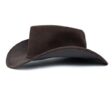 Fedora-Yellowstone-Hat