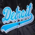 script-tail-2024-detroit-lions-black-satin-varsity-jacket